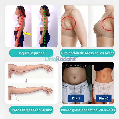 OrtoRodaFit™ - Rueda abdominal con rebote y soporte para codos (Obtenga una colchoneta para arrodillarse gratis)